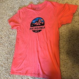 LIKE NEW Patagonia super soft organic cotton slim-fit unisex adult size M tee!